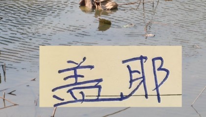 开云娱乐-像一堵墙的盖伊 会是申花的卢卡库 还是升级版马莱莱