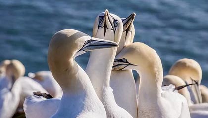 mk体育官网让热爱变成向前的力量