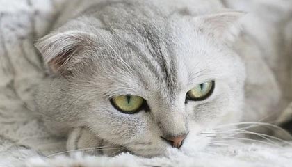 超三联赛社媒分享精彩瞬间：主教练不光已热身，还真上场了