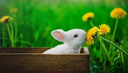 mk体育官网让热爱变成向前的力量